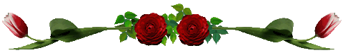 rose&tulipbar.gif